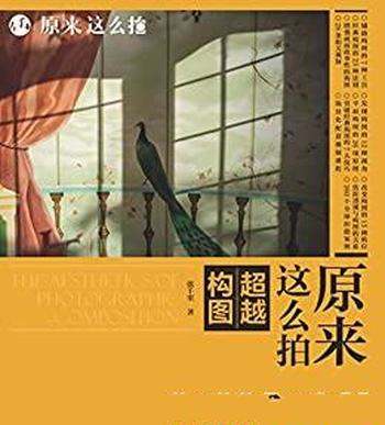 《原来这么拍:超越构图》张千里/是一本摄影构图工具书