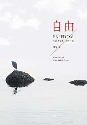 《自由》乔纳森·弗兰岑著/如果你只管自由,但结果呢?