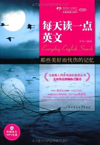 《那些美好而忧伤的记忆》 - 章华