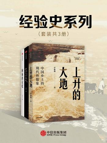《经验史书系(套装共3册)》- 罗雅琳 等