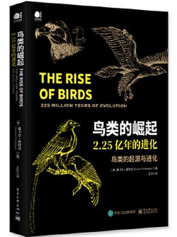 《鸟类的崛起:2.25亿年的进化》- 王行