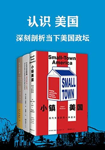 《认识美国:深刻剖析当下美国政坛》(套装共3册)- 罗伯特·伍斯诺 等