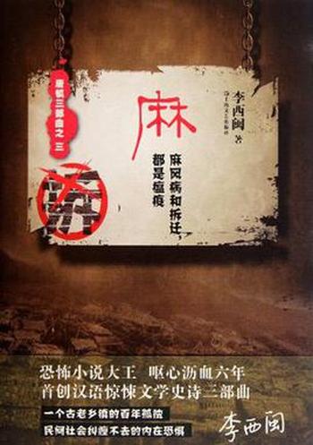 《麻:麻风病和拆迁都是瘟疫》(唐镇三部曲) 李西闽