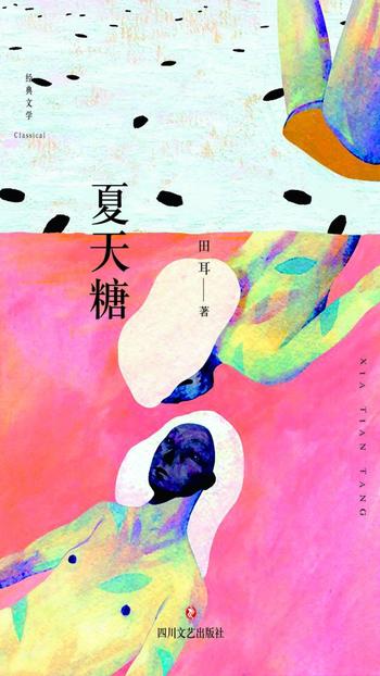 《夏天糖》田耳 实力作家田耳长篇代表作