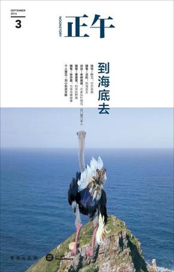 《正午3:到海底去》 正午