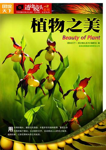 《图说天下·透过镜头系列·植物之美》