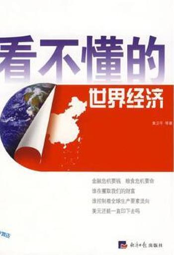 《看不懂的世界经济》