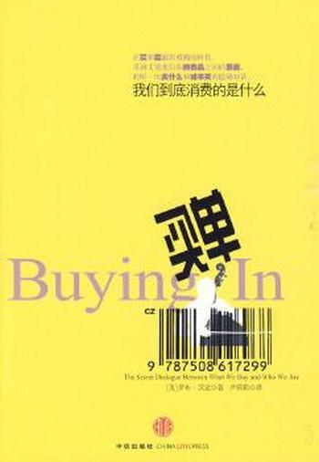 《买单(我们到底消费的是什么)》