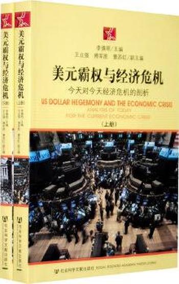 《美元霸权与经济危机(上、下册)》