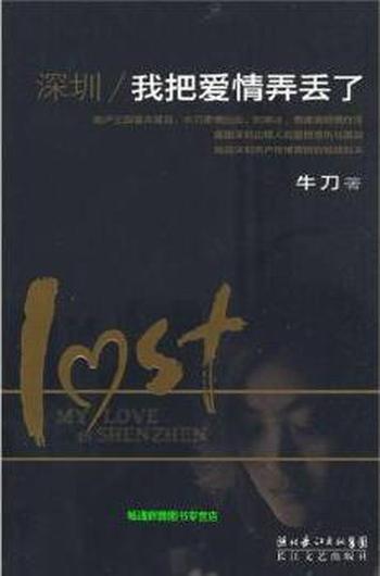 《深圳,我把爱情弄丢了》