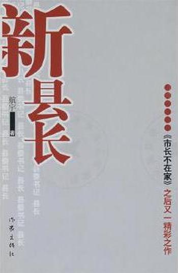 《新县长》