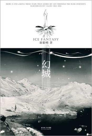《幻城(全新修订版)》