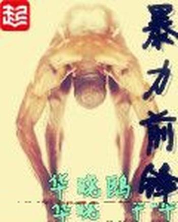 《暴力前锋》(校对版全本)作者:华晓鸥
