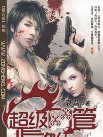 《超级网管》(校对版全本)作者:衰鸟