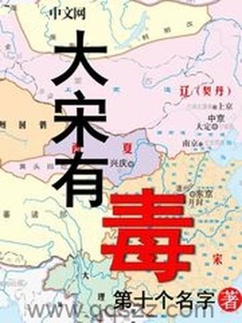 《大宋有毒》(校对版全本)作者:第十个名字