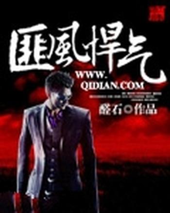 《匪风悍气》(校对版全本)作者:醛石
