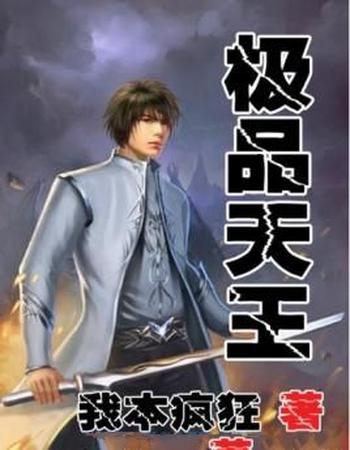 《极品天王》(校对版全本)作者:我本疯狂