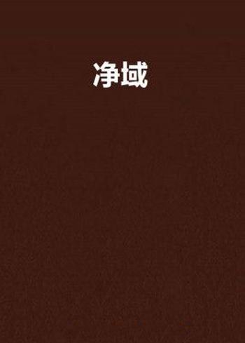 《净域》(校对版全本)作者:九流写手