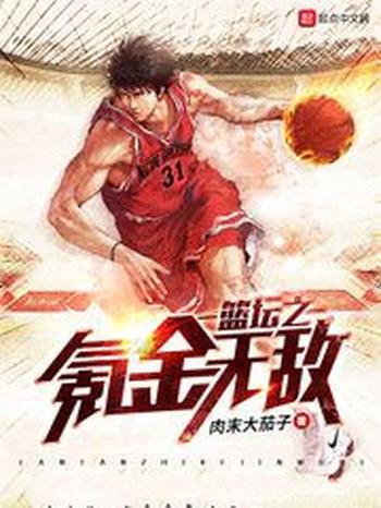 《篮坛之氪金无敌》(校对版全本)作者:肉末大茄子