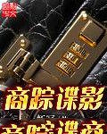 《商踪谍影》(校对版全本)作者:虾写