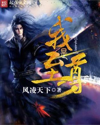 《我是至尊》(校对版全本)作者:风凌天下