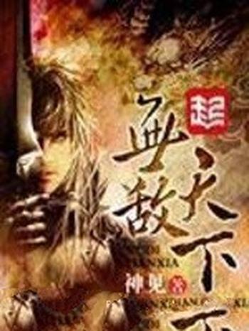 《无敌天下》(校对版全本)作者:神见