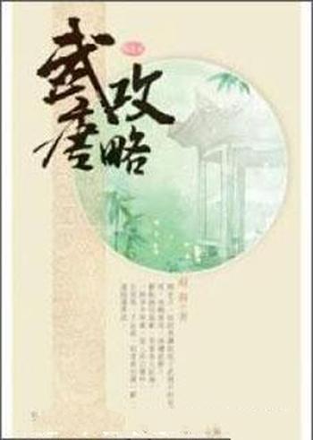 《武唐攻略》(校对版全本)作者:府天
