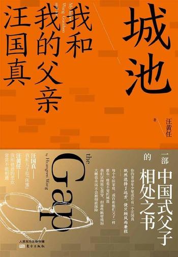 《城池:我和我的父亲汪国真》