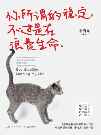 《你所谓的稳定,不过是在浪费生命》