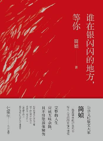 《谁在银闪闪的地方,等你》