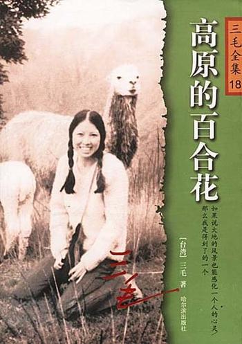 《三毛--高原的百合花》