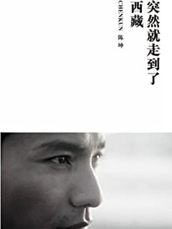 《突然就走到了西藏(精编图文版)》