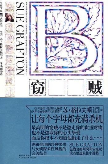 《B:窃贼》