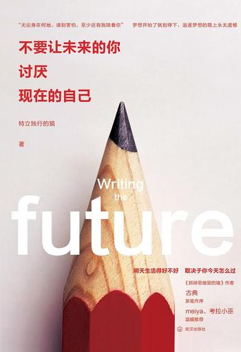 《不要让未来的你,讨厌现在的自己》