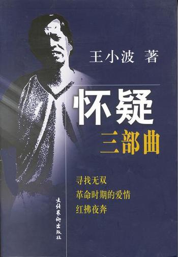 《怀疑三部曲-王小波》