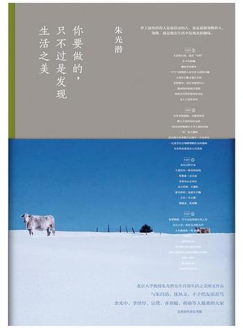 《你要做的,只不过是发现生活之美》