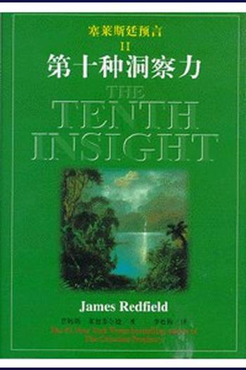 《塞莱斯廷预言II:第十种洞察力》