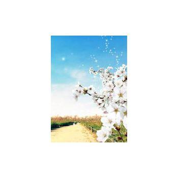 《天机·第四季·末日审判》
