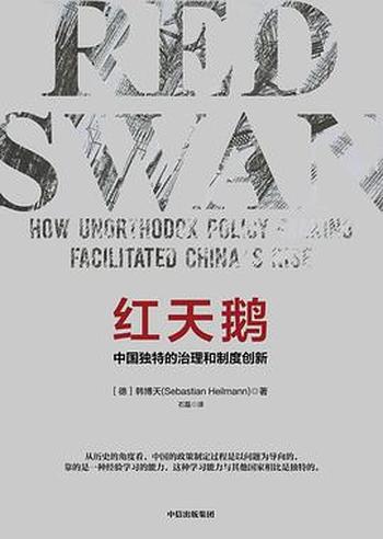 《红天鹅:中国独特的治理和制度创新》