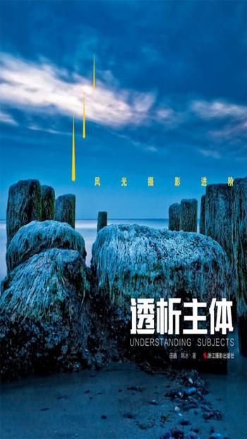 《风光摄影进阶:透析主体》 田鑫,韩冰