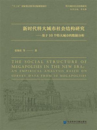 《新时代特大城市社会结构研究:基于10个特大城市的数据分析(特大城市社会治理研究)》-张海东