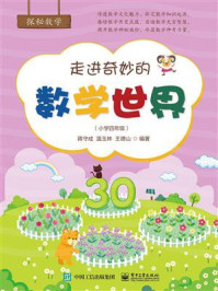 《走进奇妙的数学世界(小学四年级)》-蒋守成