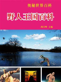 《野人王国百科》-竭宝峰