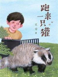 《跑来一只獾》-史雷