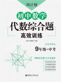 《周计划:初中数学代数综合题高效训练(9年级+中考)》-刘弢
