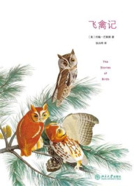 《飞禽记》-约翰·布洛