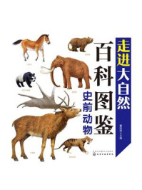 《史前动物》-董枝明
