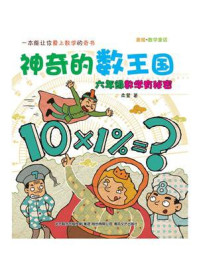 《神奇的数王国:六年级数学有秘密》-柔萱