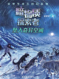 《暗物质探索者:坠入奇异空间》-位梦华
