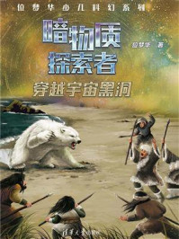《暗物质探索者:穿越宇宙黑洞》-位梦华